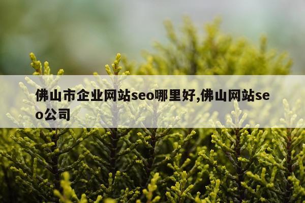 佛山市企业网站seo哪里好,佛山网站seo公司