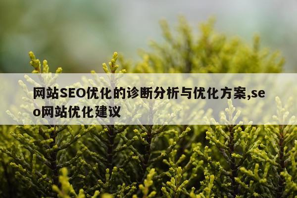 网站SEO优化的诊断分析与优化方案,seo网站优化建议
