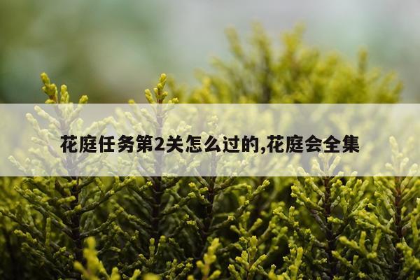 花庭任务第2关怎么过的,花庭会全集