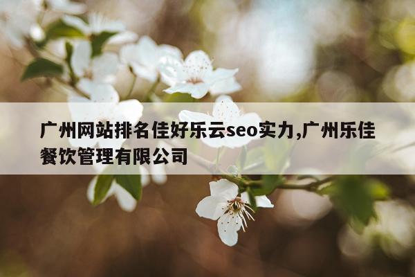广州网站排名佳好乐云seo实力,广州乐佳餐饮管理有限公司