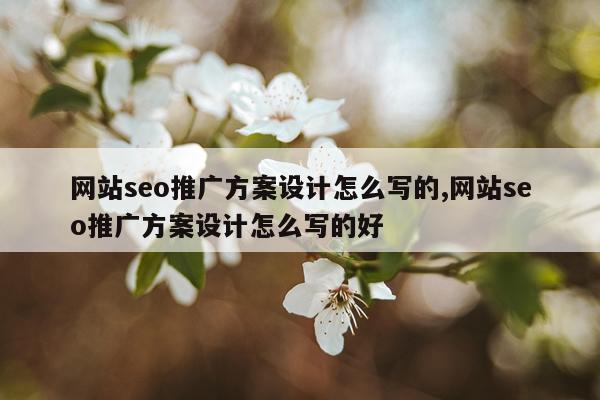 网站seo推广方案设计怎么写的,网站seo推广方案设计怎么写的好