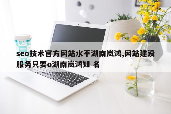 seo技术官方网站水平湖南岚鸿,网站建设服务只要o湖南岚鸿知 名