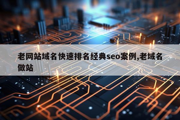 老网站域名快速排名经典seo案例,老域名做站
