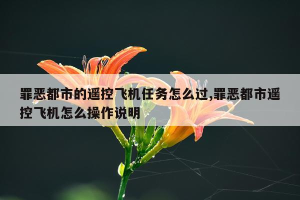 罪恶都市的遥控飞机任务怎么过,罪恶都市遥控飞机怎么操作说明