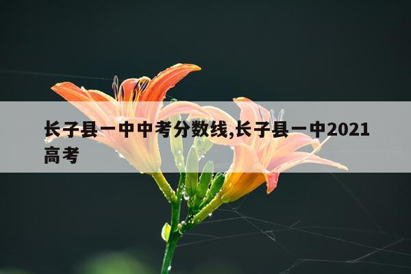 长子县一中中考分数线,长子县一中2021高考
