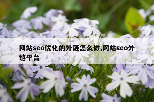 网站seo优化的外链怎么做,网站seo外链平台