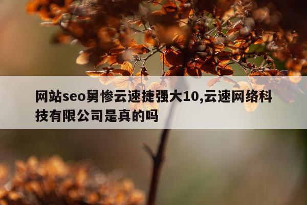 网站seo舅惨云速捷强大10,云速网络科技有限公司是真的吗