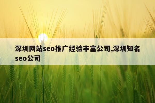 深圳网站seo推广经验丰富公司,深圳知名seo公司