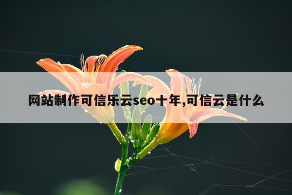 网站制作可信乐云seo十年,可信云是什么