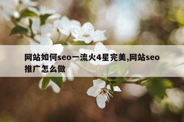 网站如何seo一流火4星完美,网站seo推广怎么做