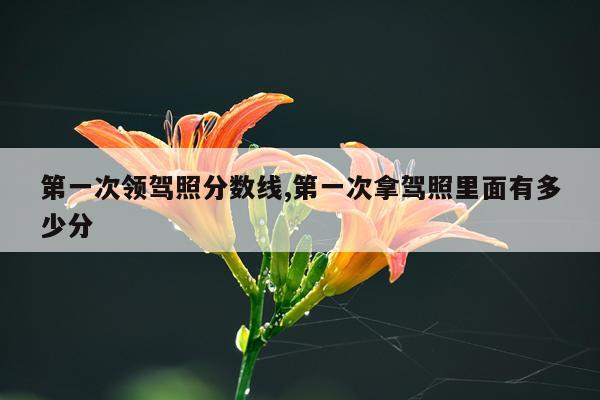第一次领驾照分数线,第一次拿驾照里面有多少分