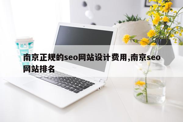 南京正规的seo网站设计费用,南京seo网站排名