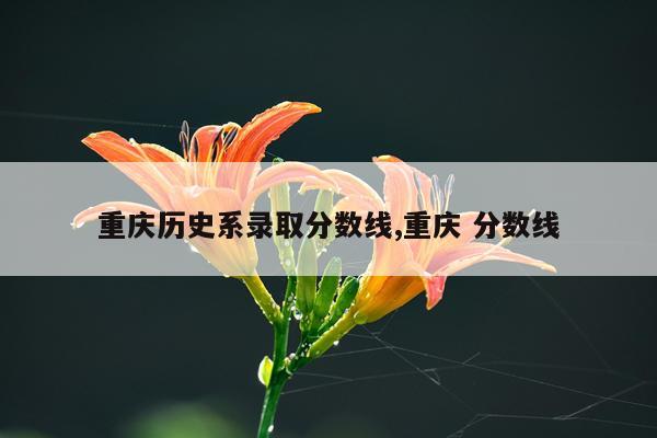 重庆历史系录取分数线,重庆 分数线