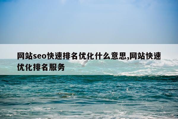 网站seo快速排名优化什么意思,网站快速优化排名服务