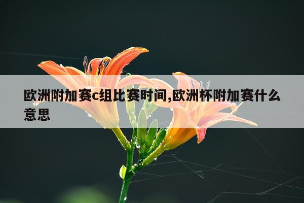 欧洲附加赛c组比赛时间,欧洲杯附加赛什么意思
