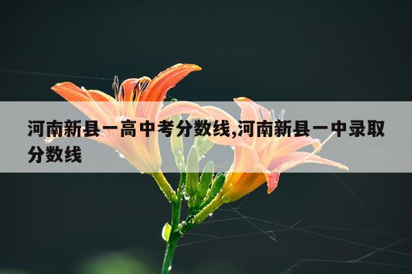 河南新县一高中考分数线,河南新县一中录取分数线
