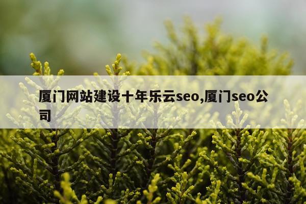 厦门网站建设十年乐云seo,厦门seo公司