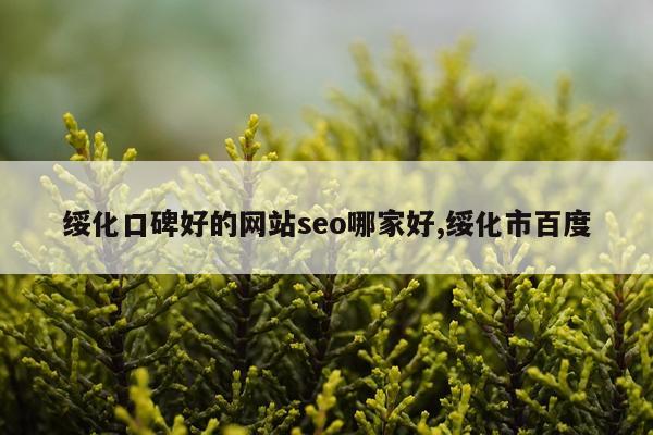 绥化口碑好的网站seo哪家好,绥化市百度