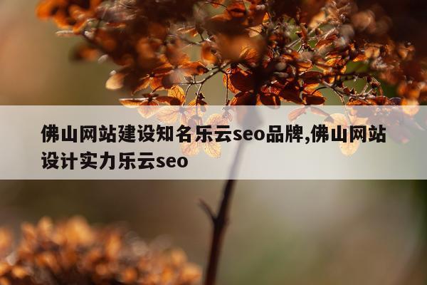 佛山网站建设知名乐云seo品牌,佛山网站设计实力乐云seo