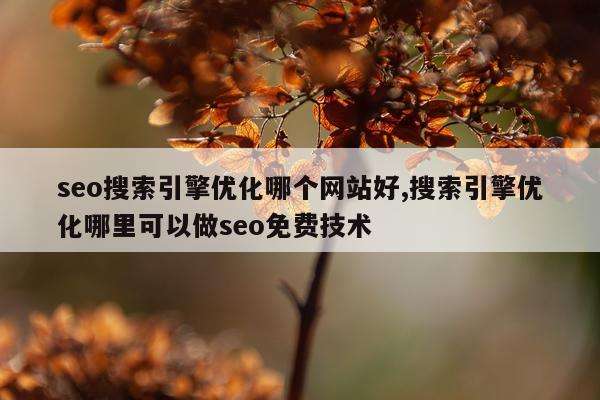 seo搜索引擎优化哪个网站好,搜索引擎优化哪里可以做seo免费技术