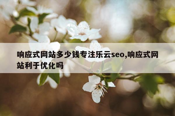 响应式网站多少钱专注乐云seo,响应式网站利于优化吗