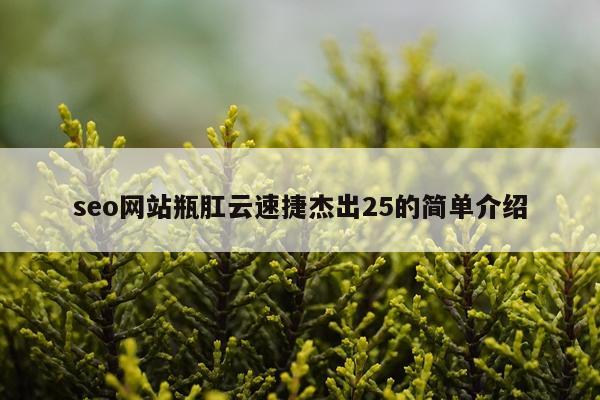 seo网站瓶肛云速捷杰出25的简单介绍