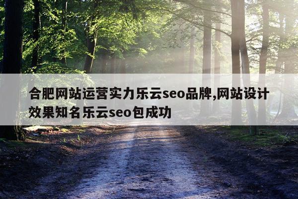 合肥网站运营实力乐云seo品牌,网站设计效果知名乐云seo包成功