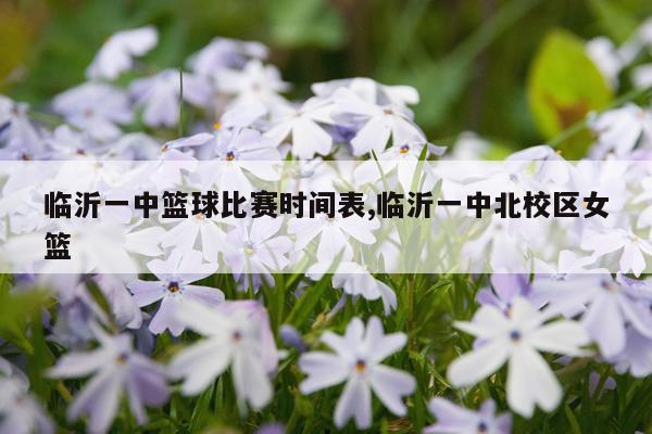 临沂一中篮球比赛时间表,临沂一中北校区女篮
