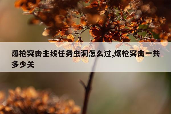 爆枪突击主线任务虫洞怎么过,爆枪突击一共多少关