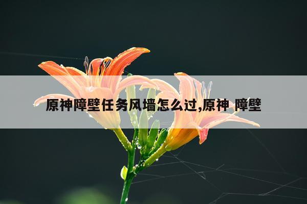 原神障壁任务风墙怎么过,原神 障壁