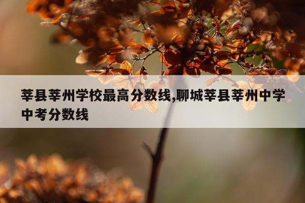 莘县莘州学校最高分数线,聊城莘县莘州中学中考分数线