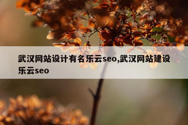 武汉网站设计有名乐云seo,武汉网站建设乐云seo