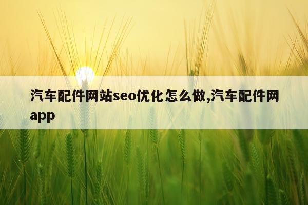 汽车配件网站seo优化怎么做,汽车配件网app