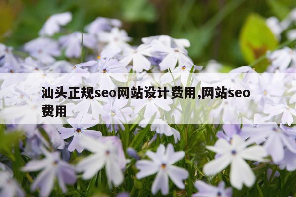 汕头正规seo网站设计费用,网站seo 费用