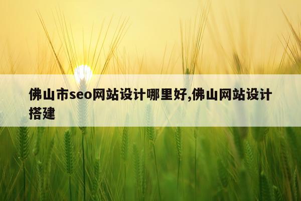 佛山市seo网站设计哪里好,佛山网站设计搭建