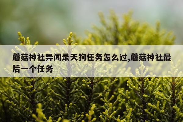 蘑菇神社异闻录天狗任务怎么过,蘑菇神社最后一个任务