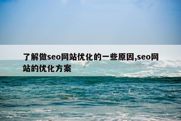 了解做seo网站优化的一些原因,seo网站的优化方案