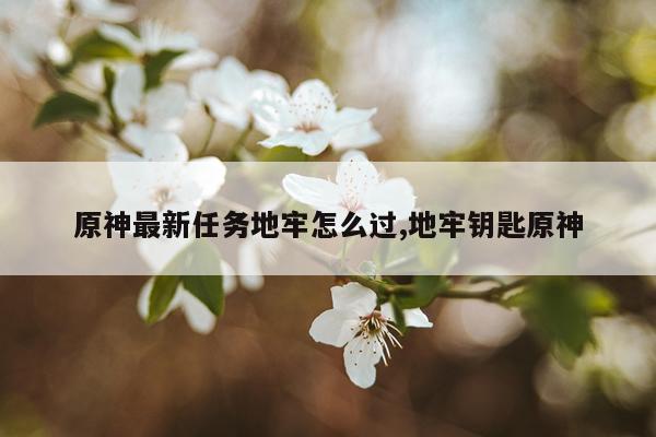 原神最新任务地牢怎么过,地牢钥匙原神