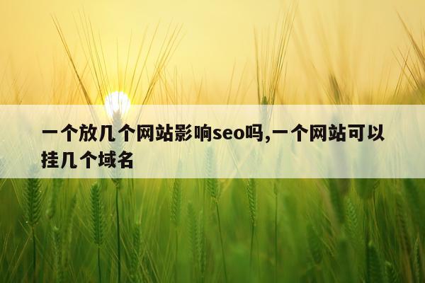 一个放几个网站影响seo吗,一个网站可以挂几个域名
