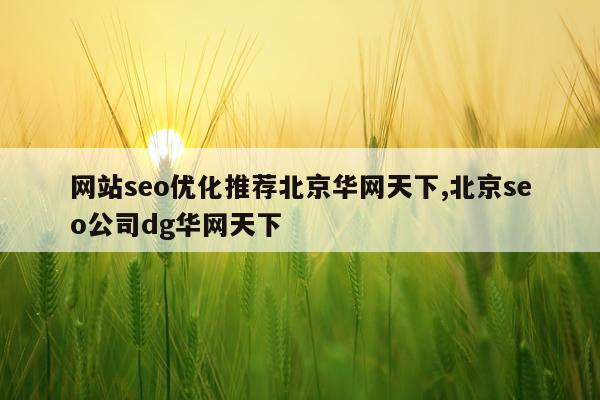 网站seo优化推荐北京华网天下,北京seo公司dg华网天下