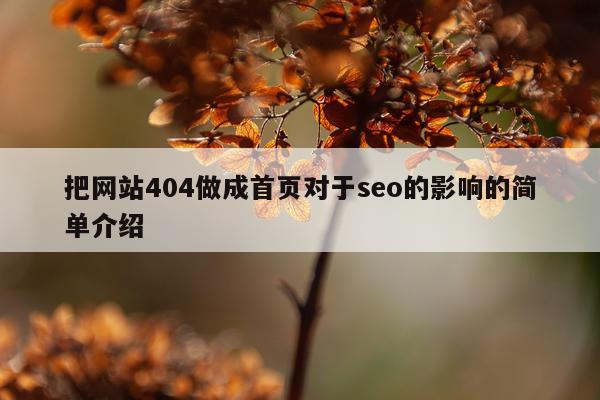 把网站404做成首页对于seo的影响的简单介绍