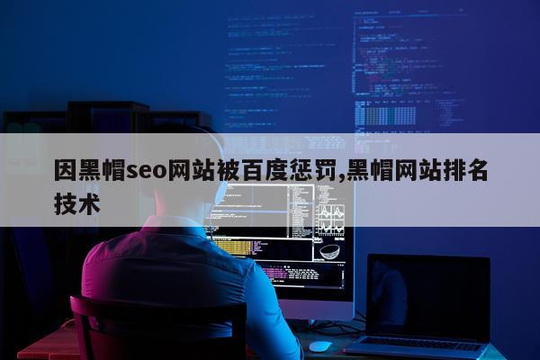 因黑帽seo网站被百度惩罚,黑帽网站排名技术