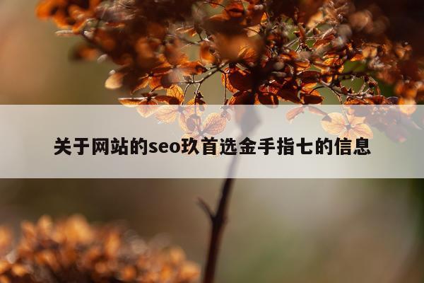 关于网站的seo玖首选金手指七的信息