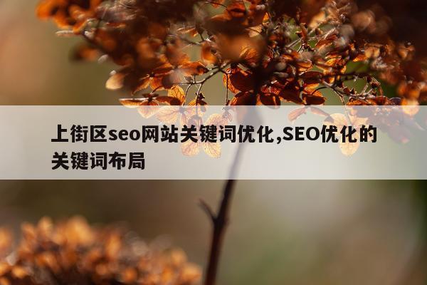 上街区seo网站关键词优化,SEO优化的关键词布局