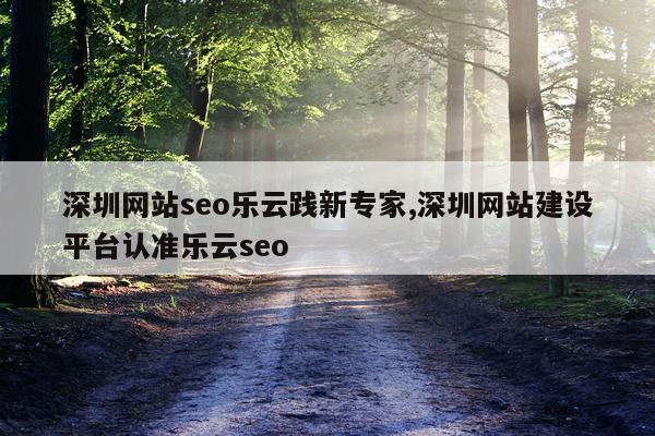 深圳网站seo乐云践新专家,深圳网站建设平台认准乐云seo