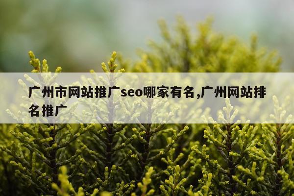 广州市网站推广seo哪家有名,广州网站排名推广