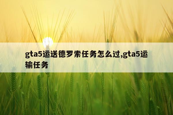 gta5运送德罗索任务怎么过,gta5运输任务