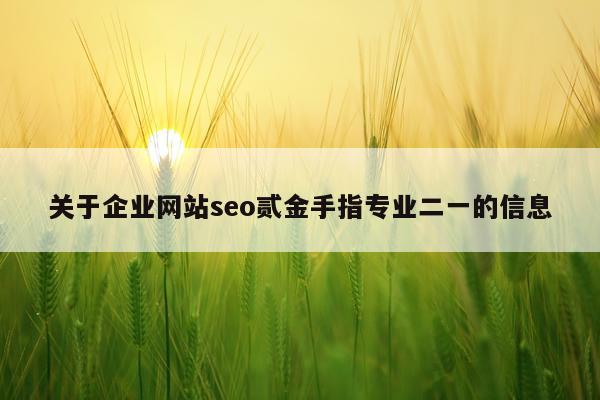 关于企业网站seo贰金手指专业二一的信息