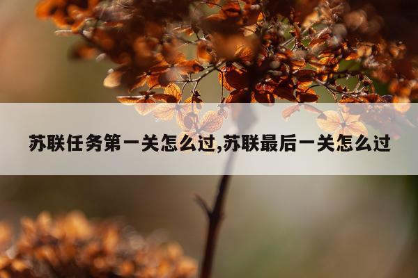 苏联任务第一关怎么过,苏联最后一关怎么过