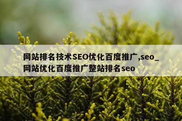 网站排名技术SEO优化百度推广,seo_网站优化百度推广整站排名seo